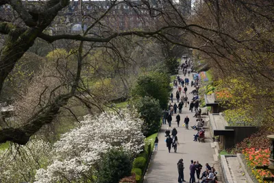 DSC_7385 (Large).JPG